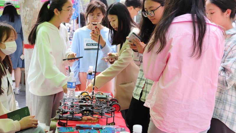 智慧城市系统集成项目经理：职责与挑战