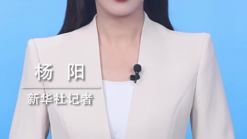 SaaS平台定制开发：预算的合理规划与关键考量**